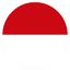 INA flag