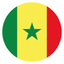SEN flag