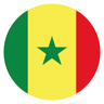 Flag of Senegal